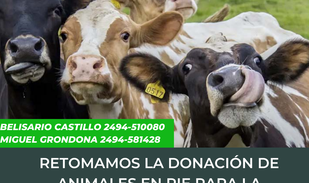 <span style='color:#e57026;font-size:15px;'>Para el Banco de Alimentos Tandil</span><br/><span></span><p/>Nueva campaña de donación de ganado