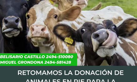 <span style='color:#e57026;font-size:15px;'>Para el Banco de Alimentos Tandil</span><br/><span></span><p/>Nueva campaña de donación de ganado